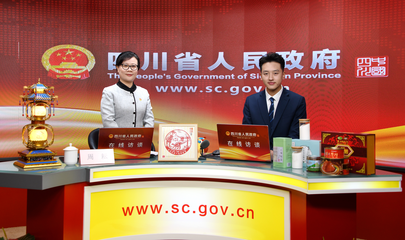  - 自貢市政府網站集約化平臺