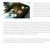 我需要個人網站